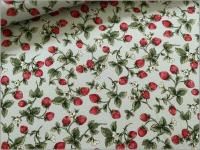 ڥĥ ϡۤ  ȥ٥꡼ ̢ åȥ󤳤Ф䤷 mint 31C