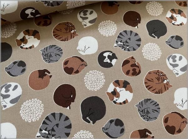 ねこまる zwa-pet13-a.jpg