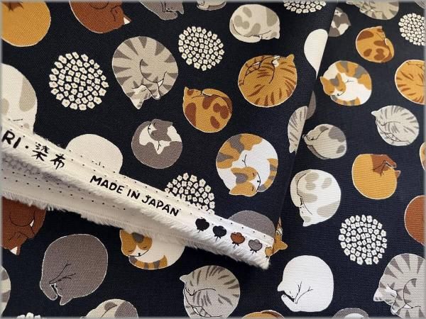 ねこまんまです。 ねこまんま (@10poponJ3oRk) on X