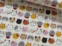 1ñ̡ڥ ϡۥͥ ǭ ¢ vanilla 35A