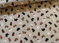 1mñ̡ڥ ϡۥͥ ǭ  ӥץ cute cat sand beige 1A