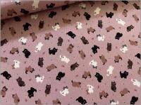 1mñ̡ڥ ϡۥͥ ǭ  ӥץ cute cat smoke pink 1B