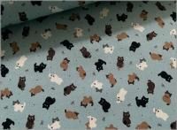 1mñ̡ڥ ϡۥͥ ǭ  ӥץ cute cat smoke blue 1C