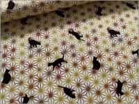 1ñ̡ڥ ϡ ͥ ǭ  orange 30C