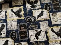 1ñ̡ڥ֥ ϡCrow 饹 Ļ ѥͥ  navy 1D