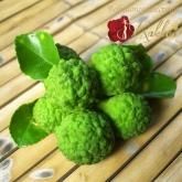 ◆モダンウッド 13◆ 日本製❣️ブレンド香油◆天然素材たっぷり♪ ◇モダンウッド 13◇ 日本製❣️ブレンド香油◇天然素材たっぷり♪