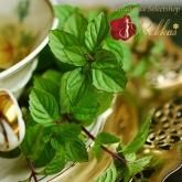 エジプト産香油 - ベリーダンス衣装＆ヒップスカーフ専門店 Rakkas