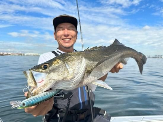 ハイスタンダード RACING FULL SYSTEM HEPTA FORCE TSS | Yoshimura Japan