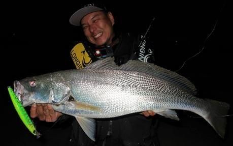 <img class='new_mark_img1' src='https://img.shop-pro.jp/img/new/icons5.gif' style='border:none;display:inline;margin:0px;padding:0px;width:auto;' />˥ٹάκǽʼήǤߡǥץ󥸤򥭡סHI-STANDARD180mm 57g եꥫ
