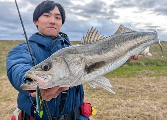 <img class='new_mark_img1' src='https://img.shop-pro.jp/img/new/icons1.gif' style='border:none;display:inline;margin:0px;padding:0px;width:auto;' />٥ȤäƹϰϤ򥵡ΥȷڲʥΥߥ˥إӡLEVIN MINI HEAVY 22 75mm 㡼ȥإåɥܥ













