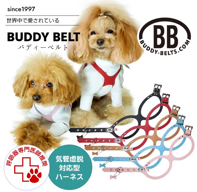 BUDDY BELT(バディーベルト)｜仙台のペットグッズ輸入雑貨屋BUTCH DOG  大切な犬猫ちゃんとよりよい暮らしをするための商品を取り揃えています。