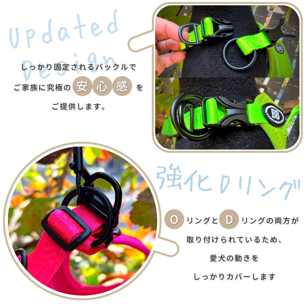 BUDDY BELT／バディーベルト】 BBスポーツ ヴァイブラント ブルー ≪BB SPORT Vibrant Blue≫｜仙台の犬用品・ペットグッズ輸入雑貨屋BUTCH  DOG - ブッチドッグ