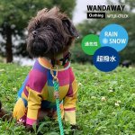 WANDAWAYۤĤĤѡ쥤 եå