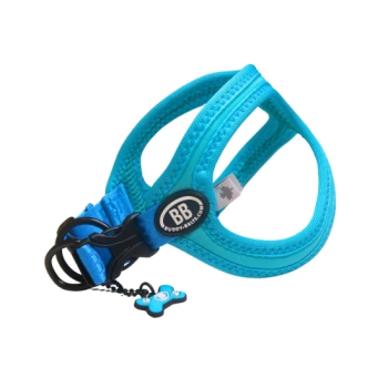 BUDDY BELT／バディーベルト】 BBスポーツ ヴァイブラント ブルー ≪BB SPORT Vibrant Blue≫｜仙台の犬用品・ペットグッズ輸入雑貨屋BUTCH  DOG - ブッチドッグ