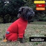 WANDAWAY̤̤ۤѡ å ҡȡ