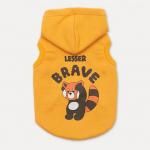 <img class='new_mark_img1' src='https://img.shop-pro.jp/img/new/icons13.gif' style='border:none;display:inline;margin:0px;padding:0px;width:auto;' />andblankLESSER PANDA SLEEVELES HOODIE