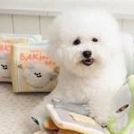 <img class='new_mark_img1' src='https://img.shop-pro.jp/img/new/icons13.gif' style='border:none;display:inline;margin:0px;padding:0px;width:auto;' />BITE MEۥ١󥰥ǥ Ρץ쥤֥å