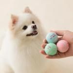 <img class='new_mark_img1' src='https://img.shop-pro.jp/img/new/icons13.gif' style='border:none;display:inline;margin:0px;padding:0px;width:auto;' />BITE MEۥߥ˥ƥ˥ܡ뤪㡡3ĥå