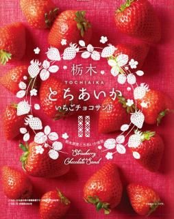 日光のおみやげ屋さん