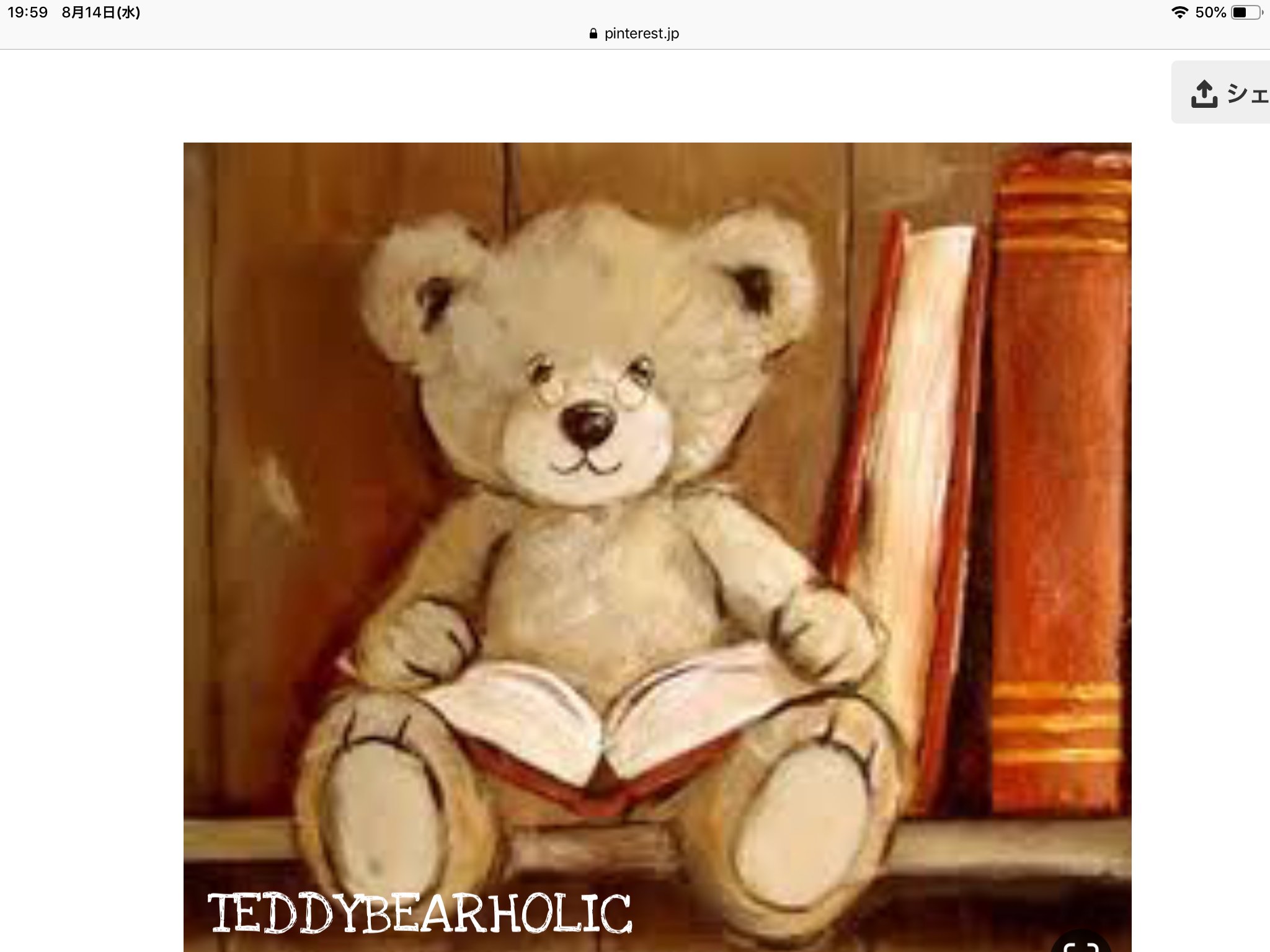 TEDDYBEARHOLIC