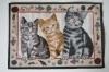 <img class='new_mark_img1' src='https://img.shop-pro.jp/img/new/icons47.gif' style='border:none;display:inline;margin:0px;padding:0px;width:auto;' />[ɥ] ޥåȡCat
