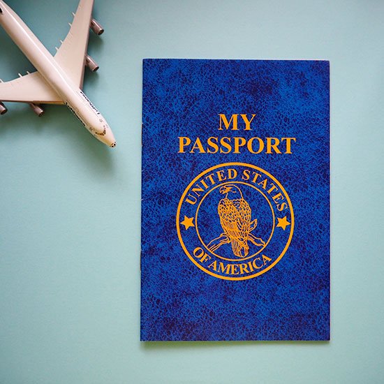 アメリカ買付品] パスポート型 イミグレーションスタンプシール＆メモ