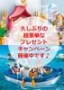 <img class='new_mark_img1' src='https://img.shop-pro.jp/img/new/icons47.gif' style='border:none;display:inline;margin:0px;padding:0px;width:auto;' />ץ쥤⡼ӥ֥ꥹѥåޤ7,700߰ʾΤͤ˥ӥåʥץץ쥼ȥڡ󡪢Ķۥץ쥼Ȥá