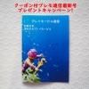 <img class='new_mark_img1' src='https://img.shop-pro.jp/img/new/icons47.gif' style='border:none;display:inline;margin:0px;padding:0px;width:auto;' />ץ쥤⡼ӥΤͤ˥ݥդΥץ̿ץ쥼ȤƤޤ̸