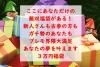 <img class='new_mark_img1' src='https://img.shop-pro.jp/img/new/icons47.gif' style='border:none;display:inline;margin:0px;padding:0px;width:auto;' />[Ķ̸]55,000߰ʾޤ٤ޤ2024եץ쥤⡼ӥʡޡ3ߡʥޥա