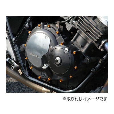 エンジンカバーボルト - バイク アクセサリー ＆ バイク 用品 の 【 JP 
