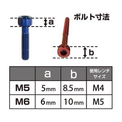 DB6015　M6キャップボルト 2本セット　M6(15mm) - バイク アクセサリー ＆ バイク 用品 の 【 JP Moto-Mart 】