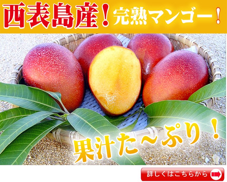沖縄県西表島産完熟マンゴー