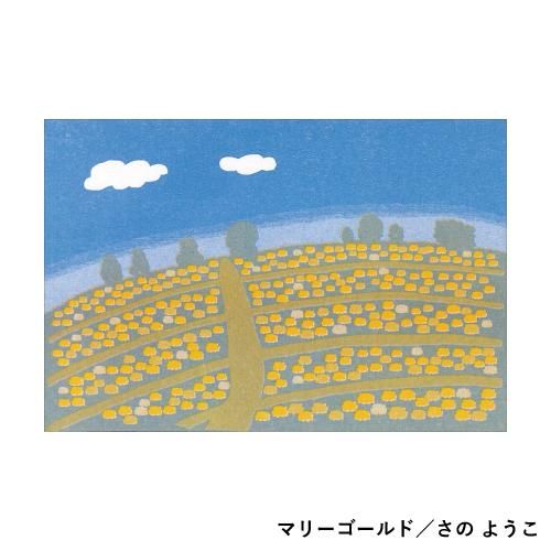 丹頂ハブラシ 印刷物 レトロ レトロ印刷トライアル［No.141-No.151］ - JAM｜レトロ印刷とSURIMACCA