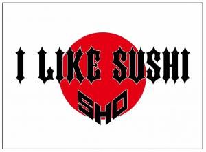 SHO - 365 アルバム (CD.DVD)2枚組 - S.TIME