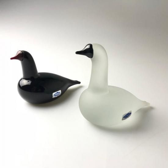 Oiva Toikka Bald coot