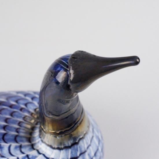 OIVA TOIKKA Bird Diver