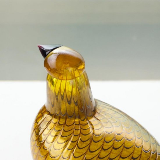 OIVA TOIKKA Bird Karelian Golden Cuckoo