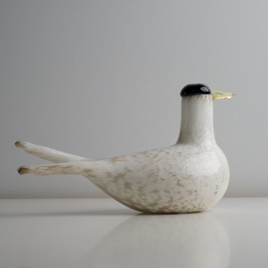 Arctic Tern 2000　アニュアル　イッタラ　バード　オイバ