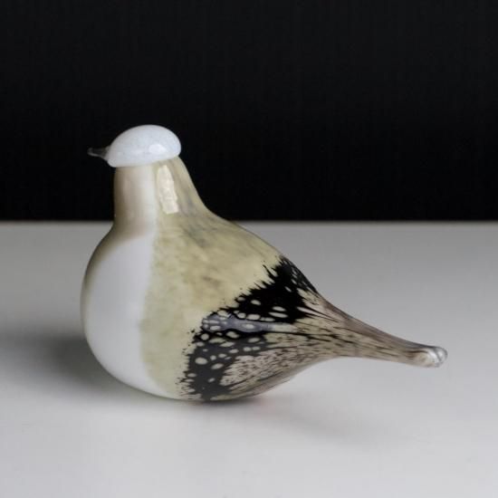 OIVA TOIKKA Pirkanmaan / Wagtail