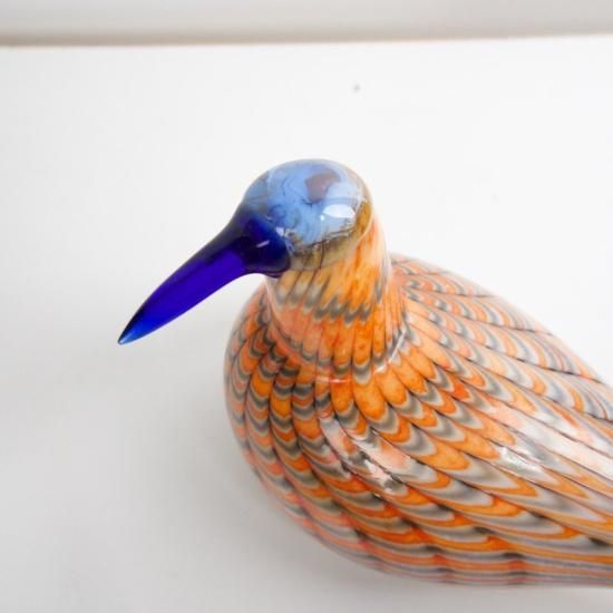 OIVA TOIKKA Bird Rainbow tern