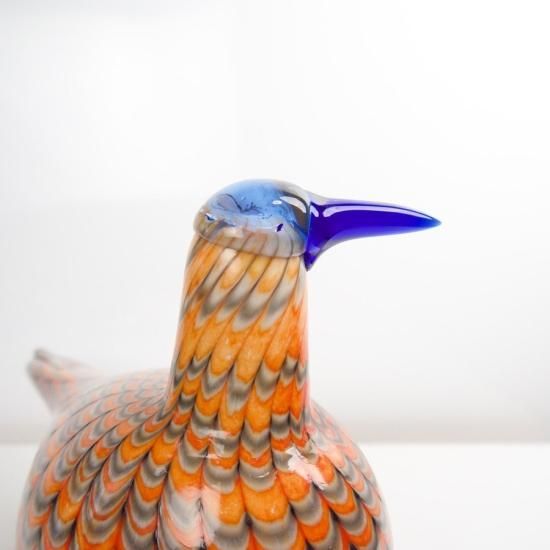 OIVA TOIKKA Bird Rainbow tern