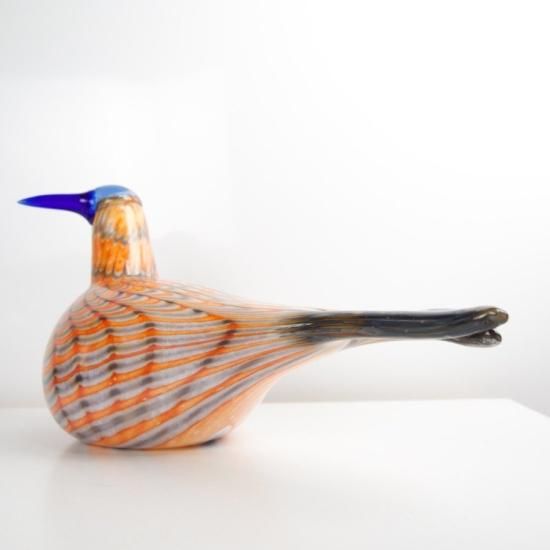 OIVA TOIKKA Bird Rainbow tern