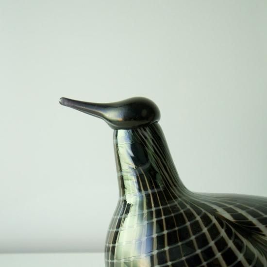 OIVA TOIKKA Red-Throated Diver