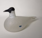 <img class='new_mark_img1' src='https://img.shop-pro.jp/img/new/icons5.gif' style='border:none;display:inline;margin:0px;padding:0px;width:auto;' />OIVA TOIKKA  Brid SPECIES OF TERN