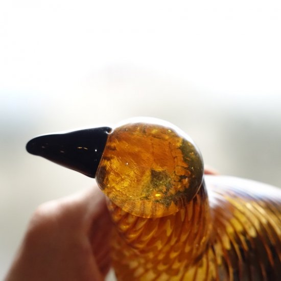 OIVA TOIKKA Brid Karelian Golden Cuckoo