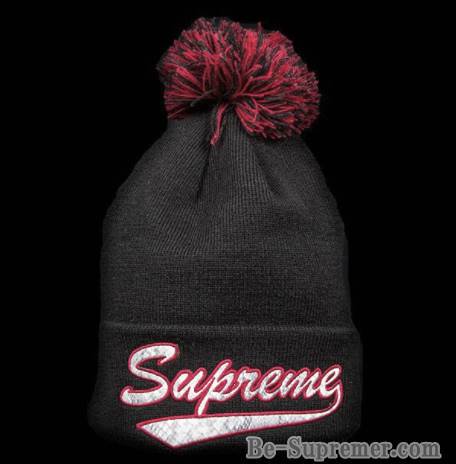 17Fw supreme New Era Snake Script Beanie