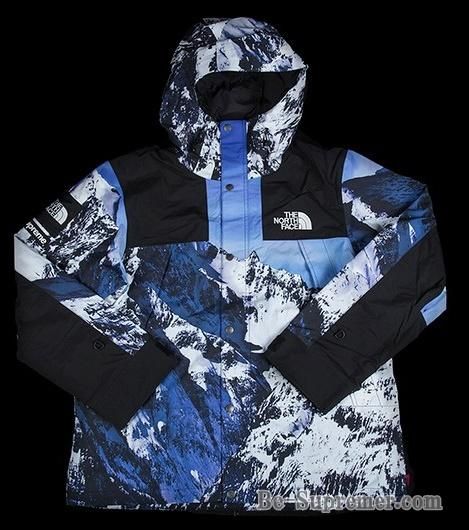 Supreme The North Face Mountain Parka