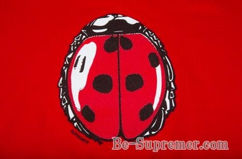 supreme ladybug