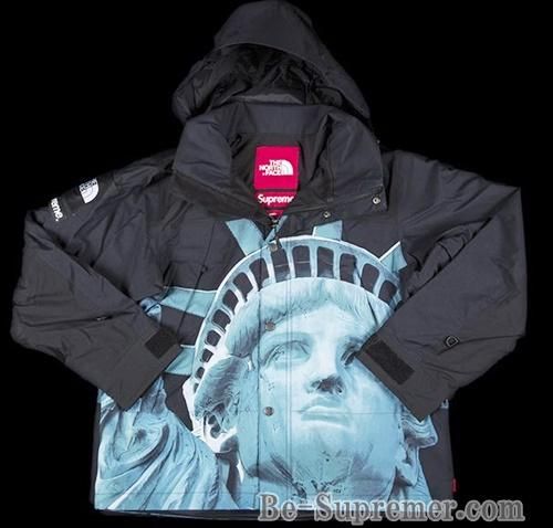 Supreme North Face Mountain Jacket 自由の女神 | www.fk-wurfscheibe.de