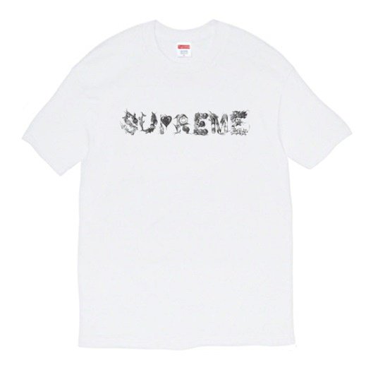 Supreme(シュプリーム)20SS Tシャツのオンライン通販なら当店へ